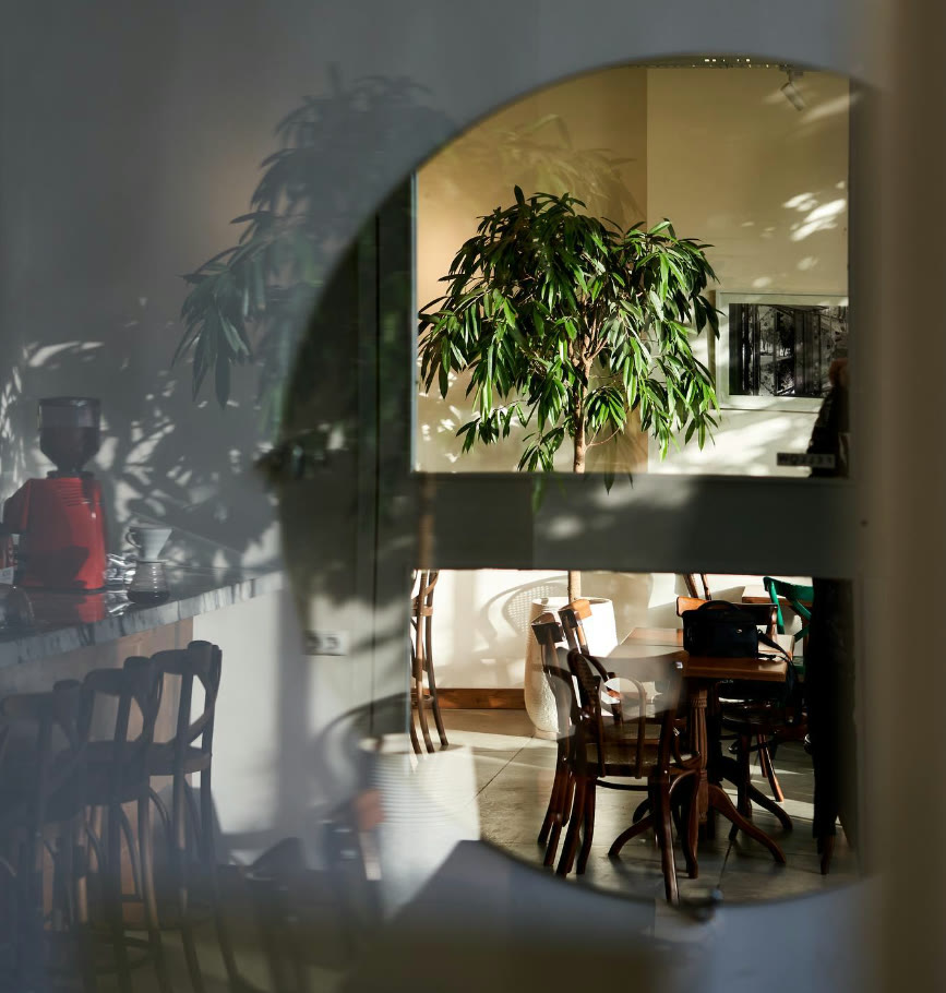 Inside Rag Rug cafe seen through a round mirror — green plants and sunlight